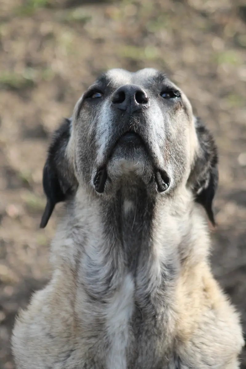 Tami -  - Bild 10