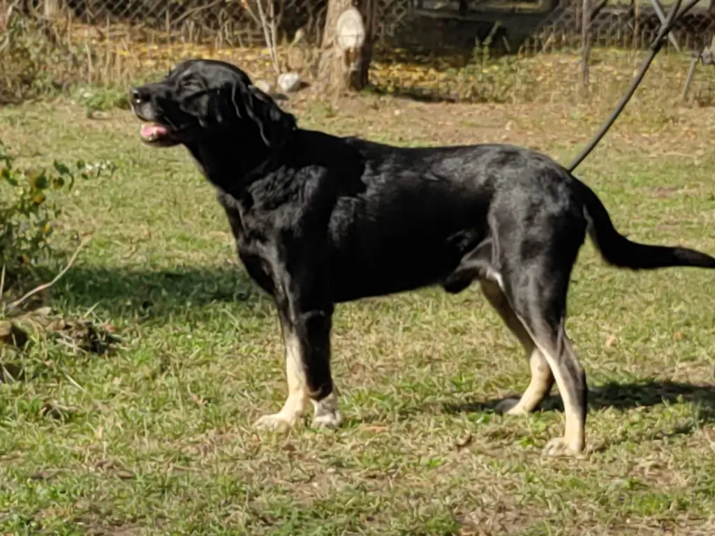 Sammy -  - Bild 4