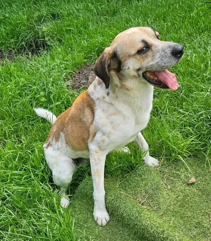 Marley -  - Bild 1