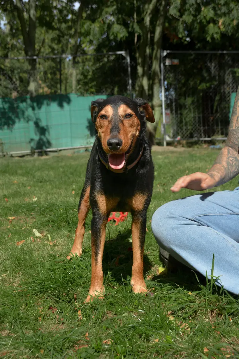 Rudi -  - Bild 15