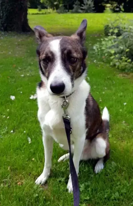 Cosmo -  - Bild 5