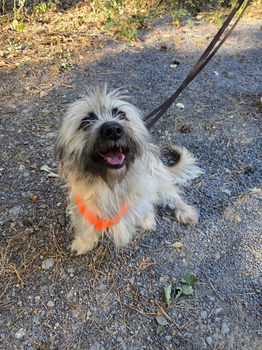 Alfi -  - Bild 1