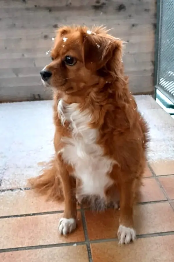 Ayla -  - Bild 2