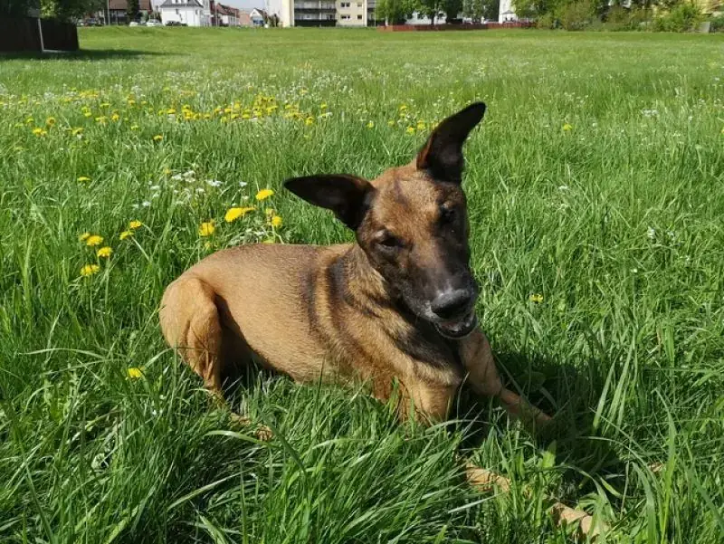 Aki -  - Bild 36