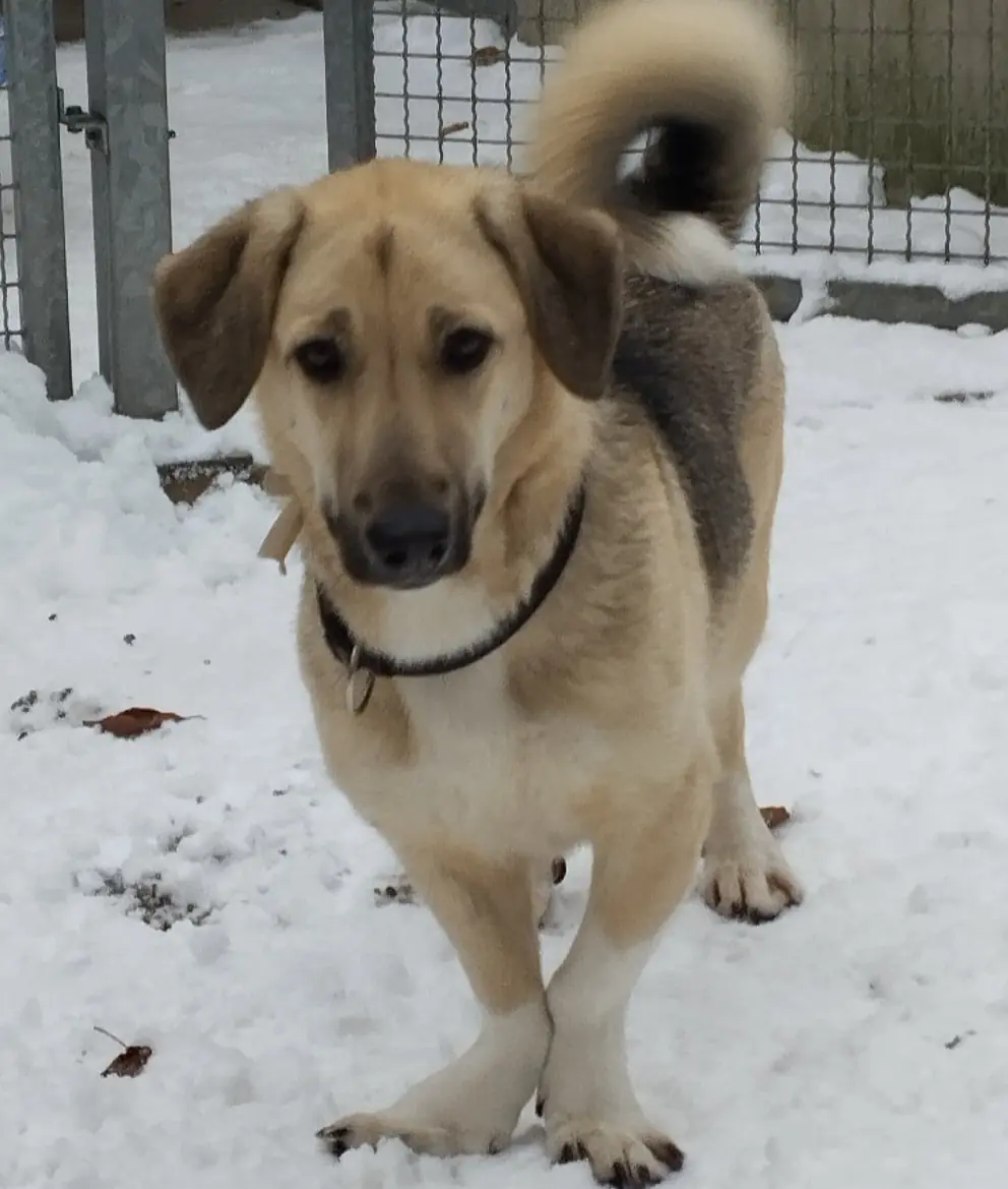 Mascha -  - Bild 1