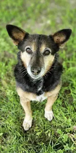 Bonny -  - Bild 2