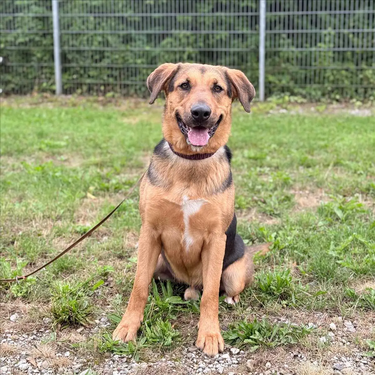 MILO -  - Bild 1