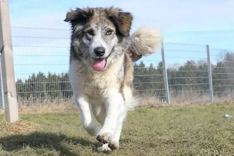 Marla -  - Bild 2