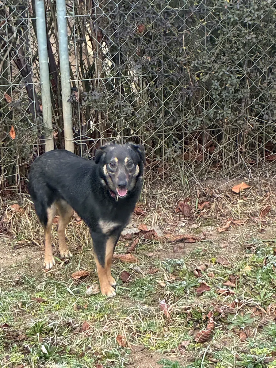 Bobbi -  - Bild 3