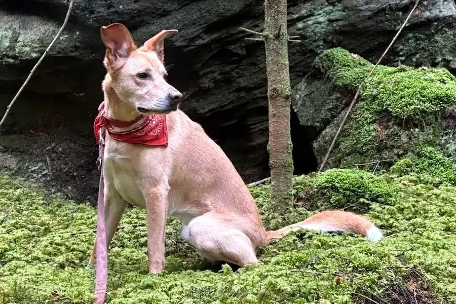 Bruno -  - Bild 2