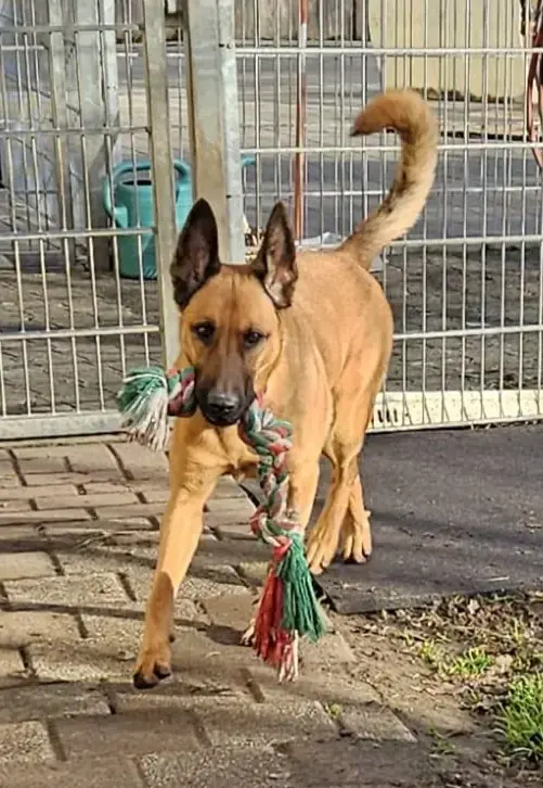 Kaya -  - Bild 2