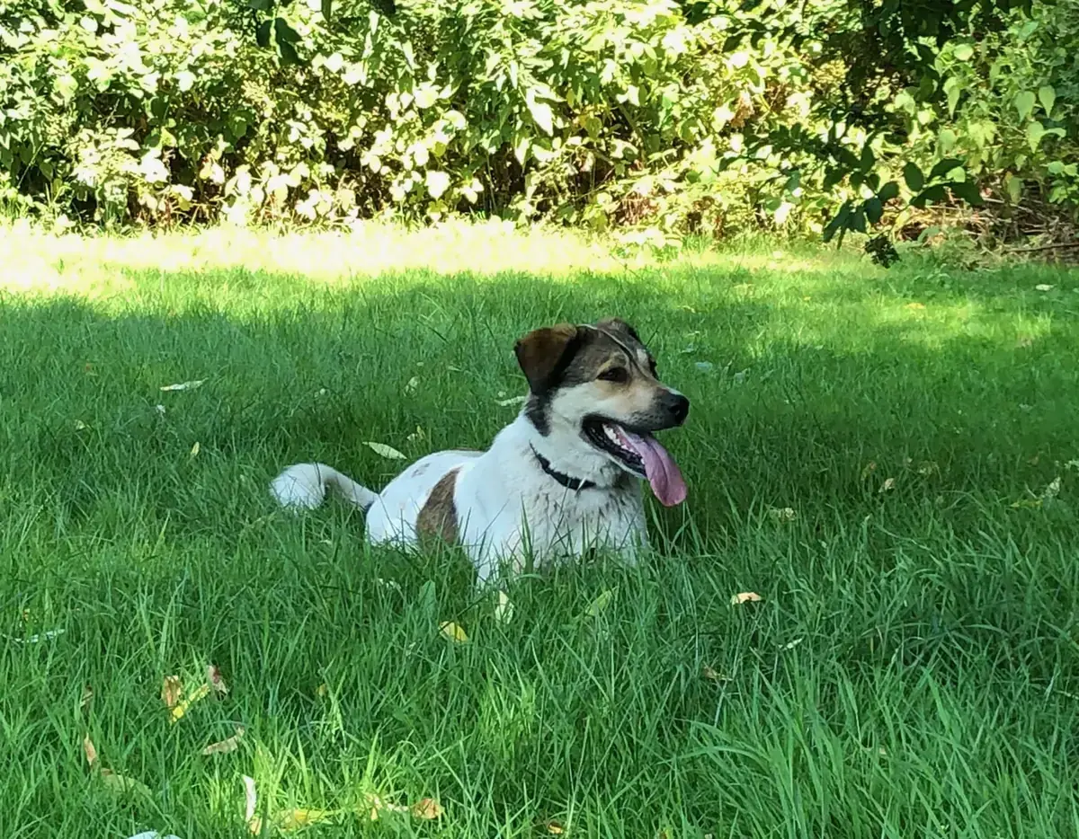 Esma -  - Bild 2