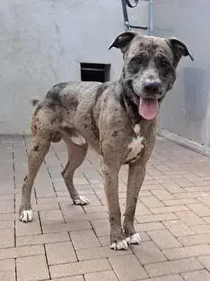 Mix Arturo