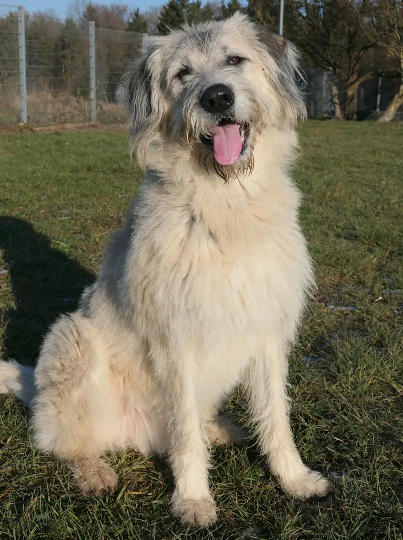 Bero -  - Bild 2