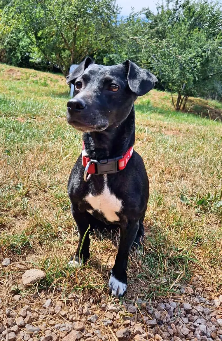 Luna -  - Bild 1