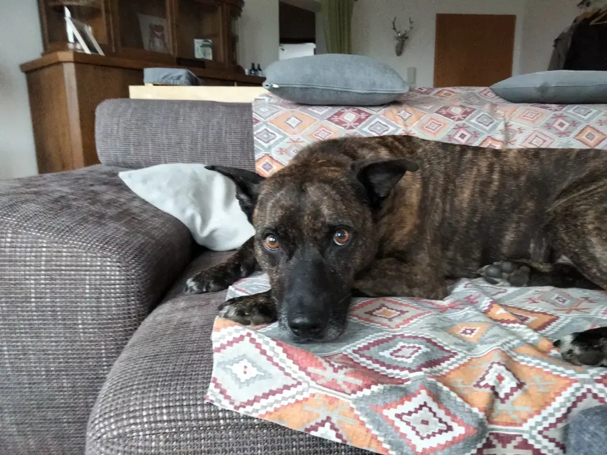 Greta -  - Bild 3