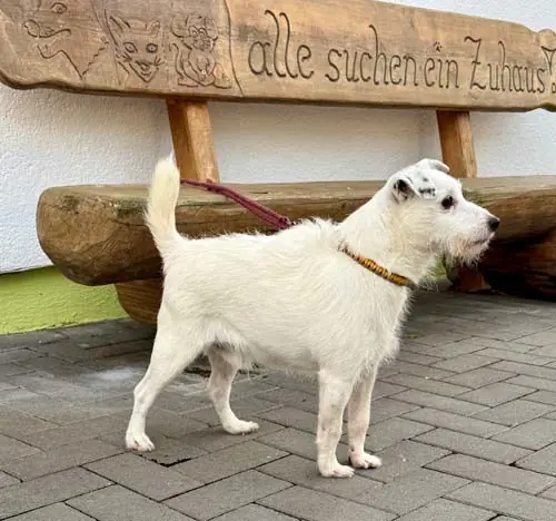 Max -  - Bild 4
