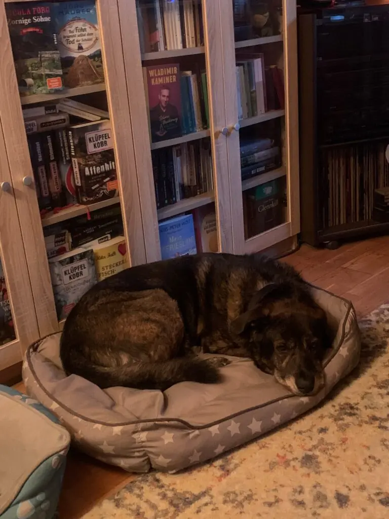 Sammy -  - Bild 2