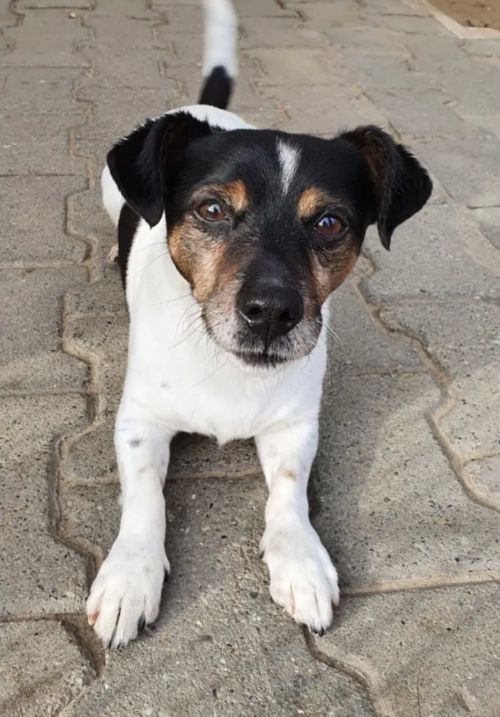 Max -  - Bild 1