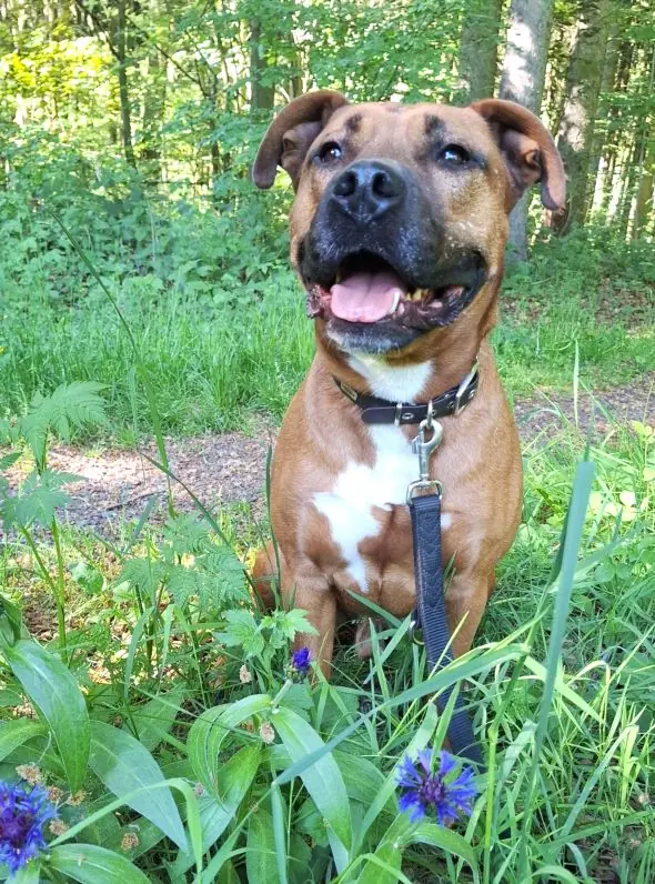 Drax -  - Bild 2