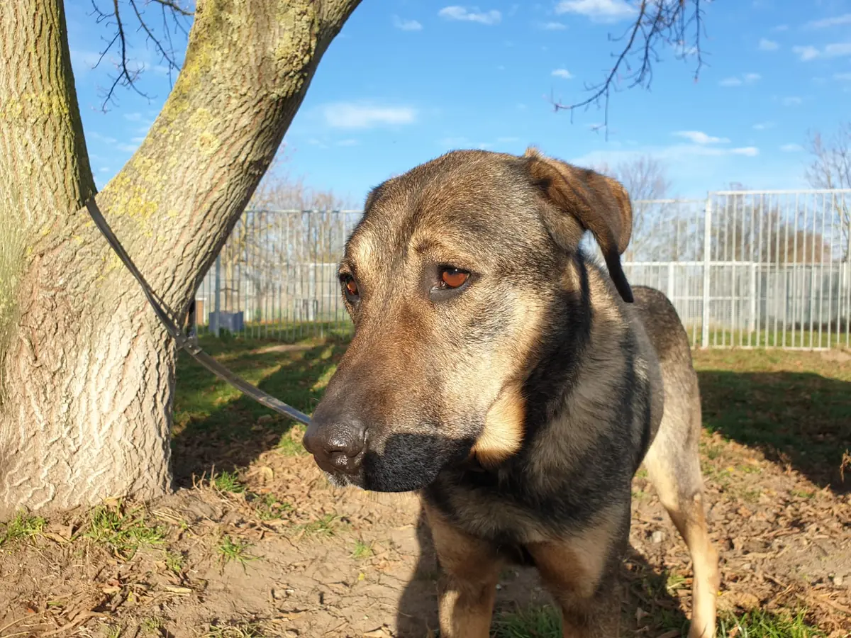 Cicero -  - Bild 2