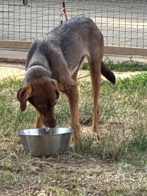 Albus -  - Bild 21