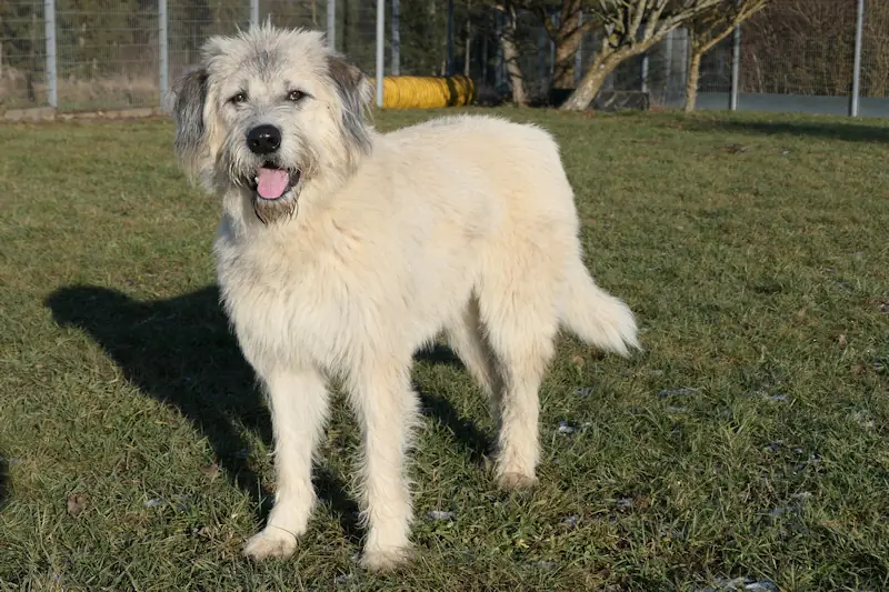 Bero -  - Bild 1