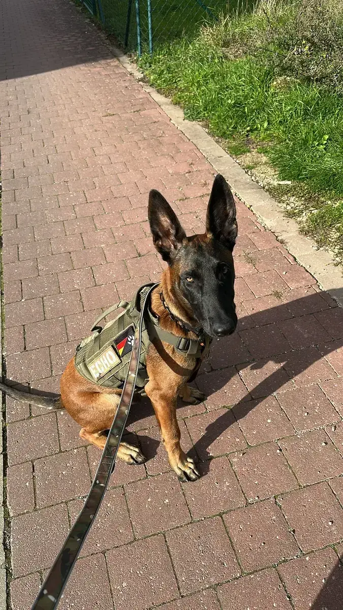 Rico -  - Bild 2