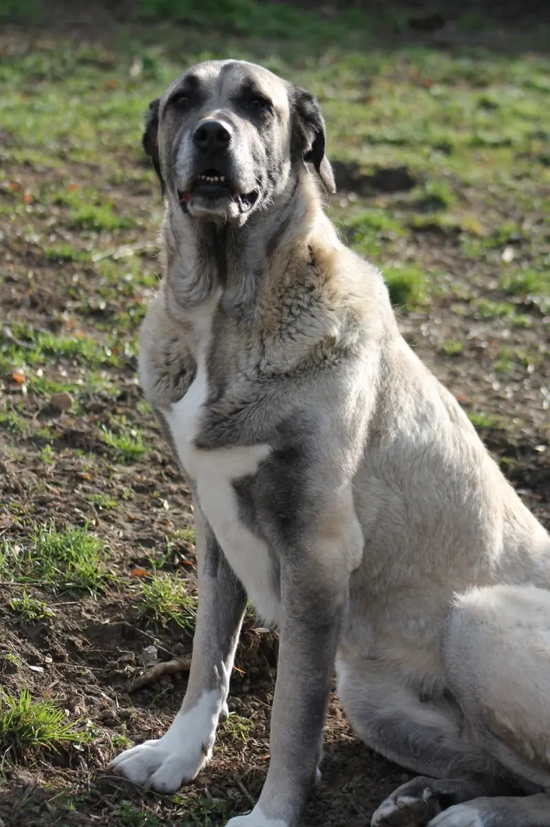 Tami -  - Bild 8
