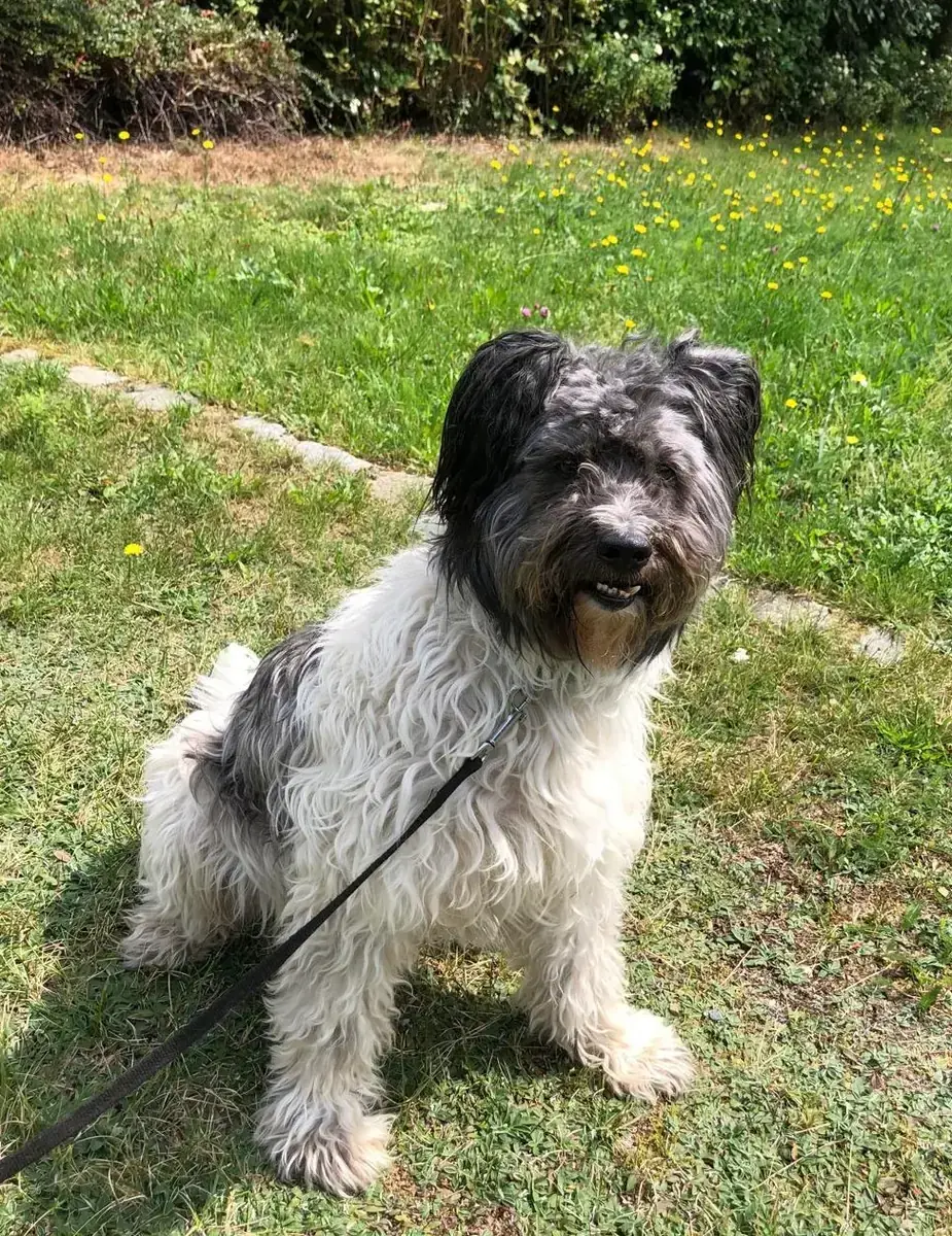Paco -  - Bild 5
