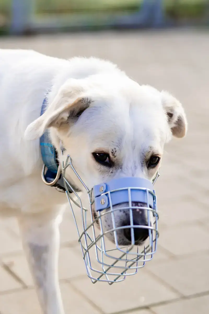 Samy -  - Bild 7