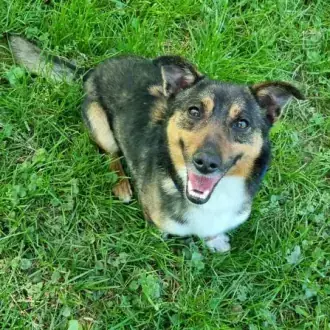 Otto -  - Bild 4