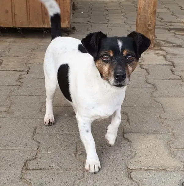Max -  - Bild 2