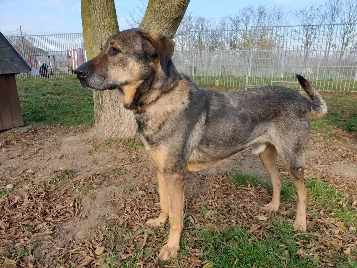 Cicero -  - Bild 3
