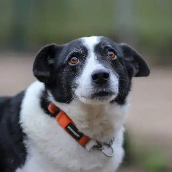 Elfi -  - Bild 2