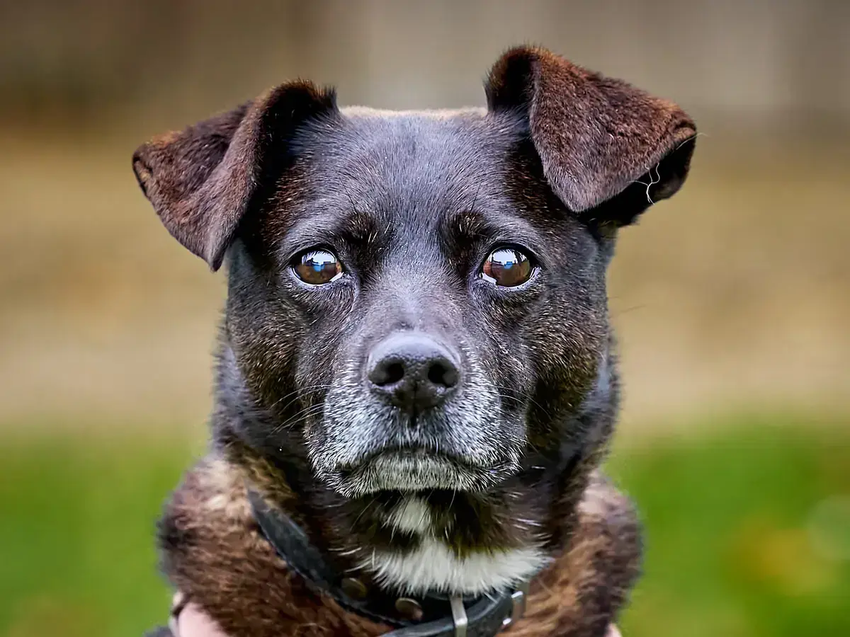 Marley -  - Bild 1