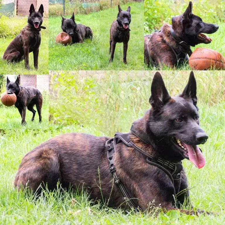 Mix Odin