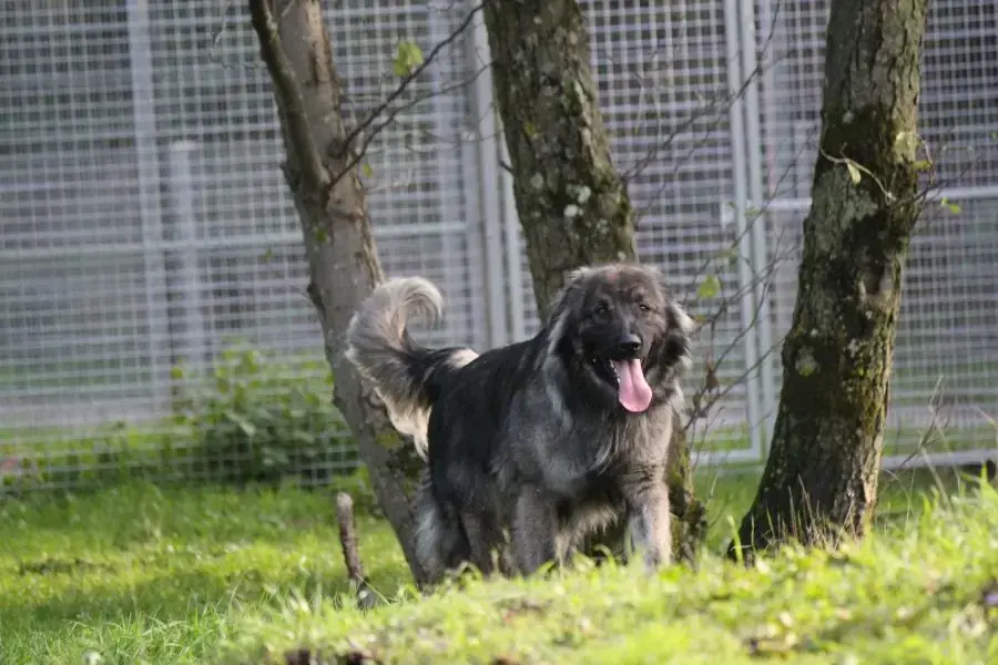 Rocky -  - Bild 9