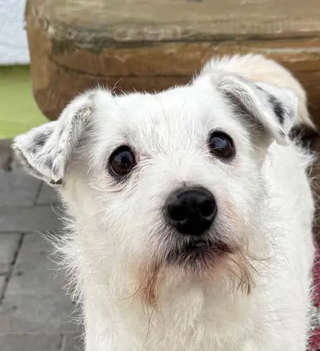 Max -  - Bild 1