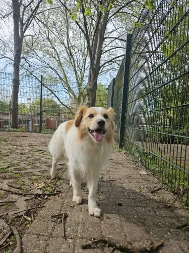 Monty -  - Bild 1