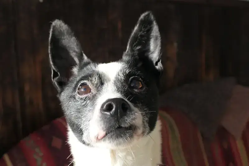 Frida -  - Bild 1