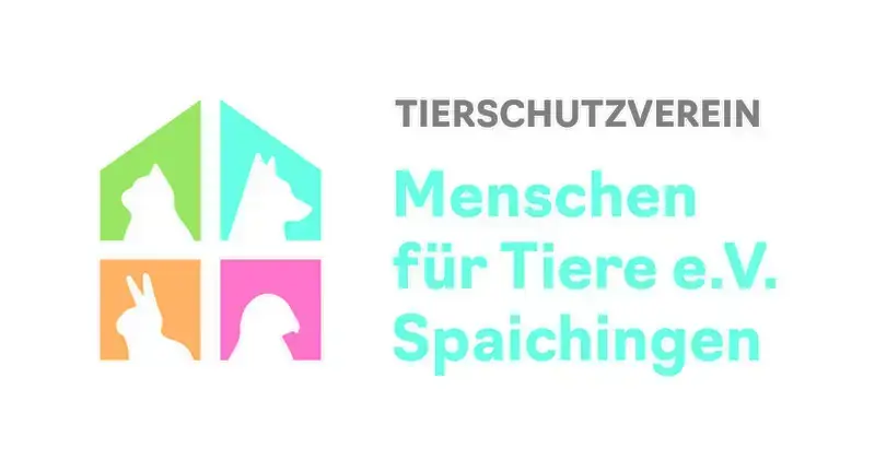 Elly -  - Bild 5