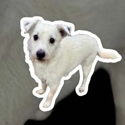 Max -  - Bild 6