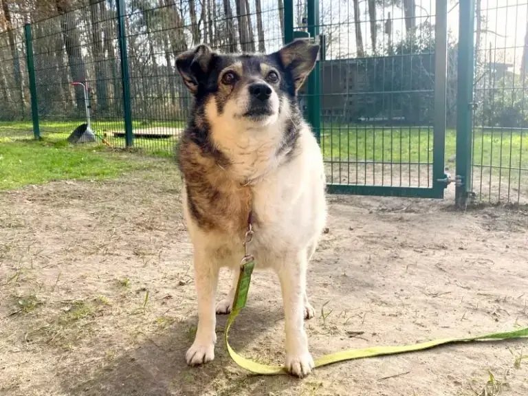Grace -  - Bild 11