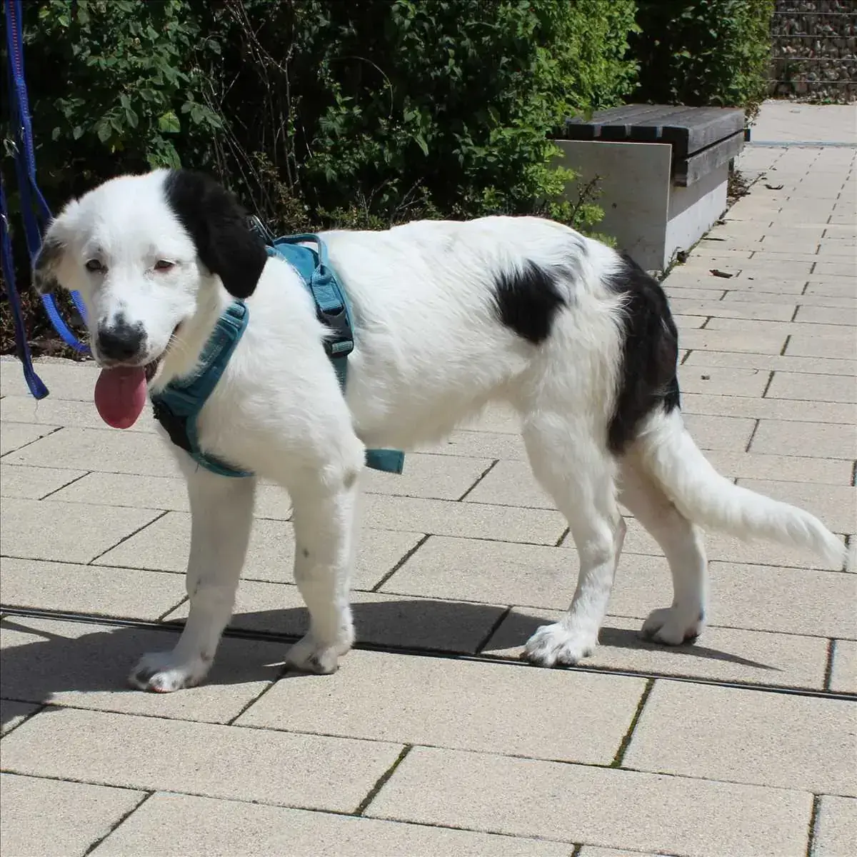 Zoe -  - Bild 1