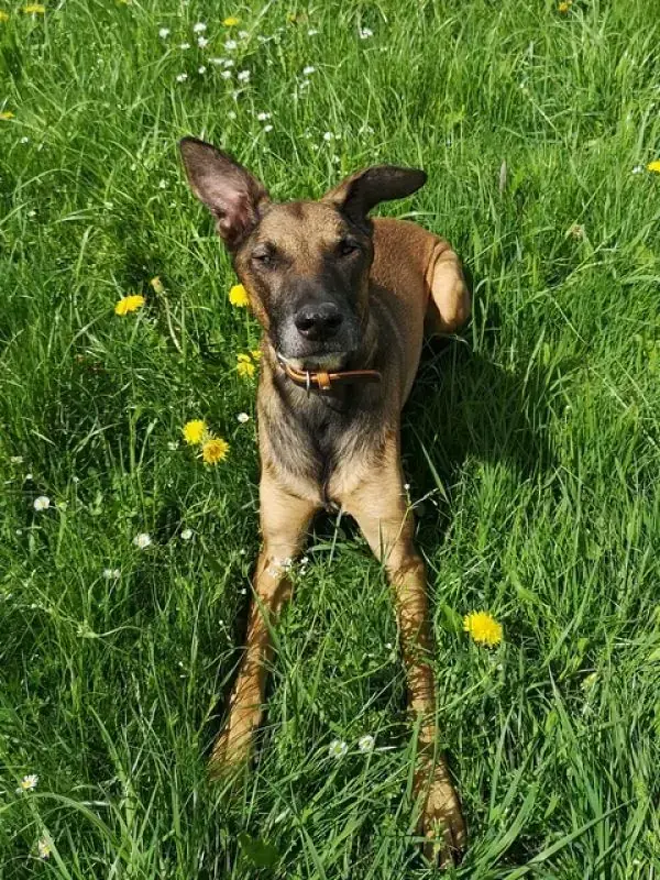 Aki -  - Bild 31