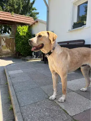 Luca -  - Bild 2