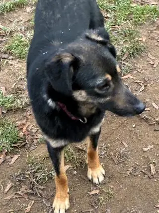 Bobbi -  - Bild 2