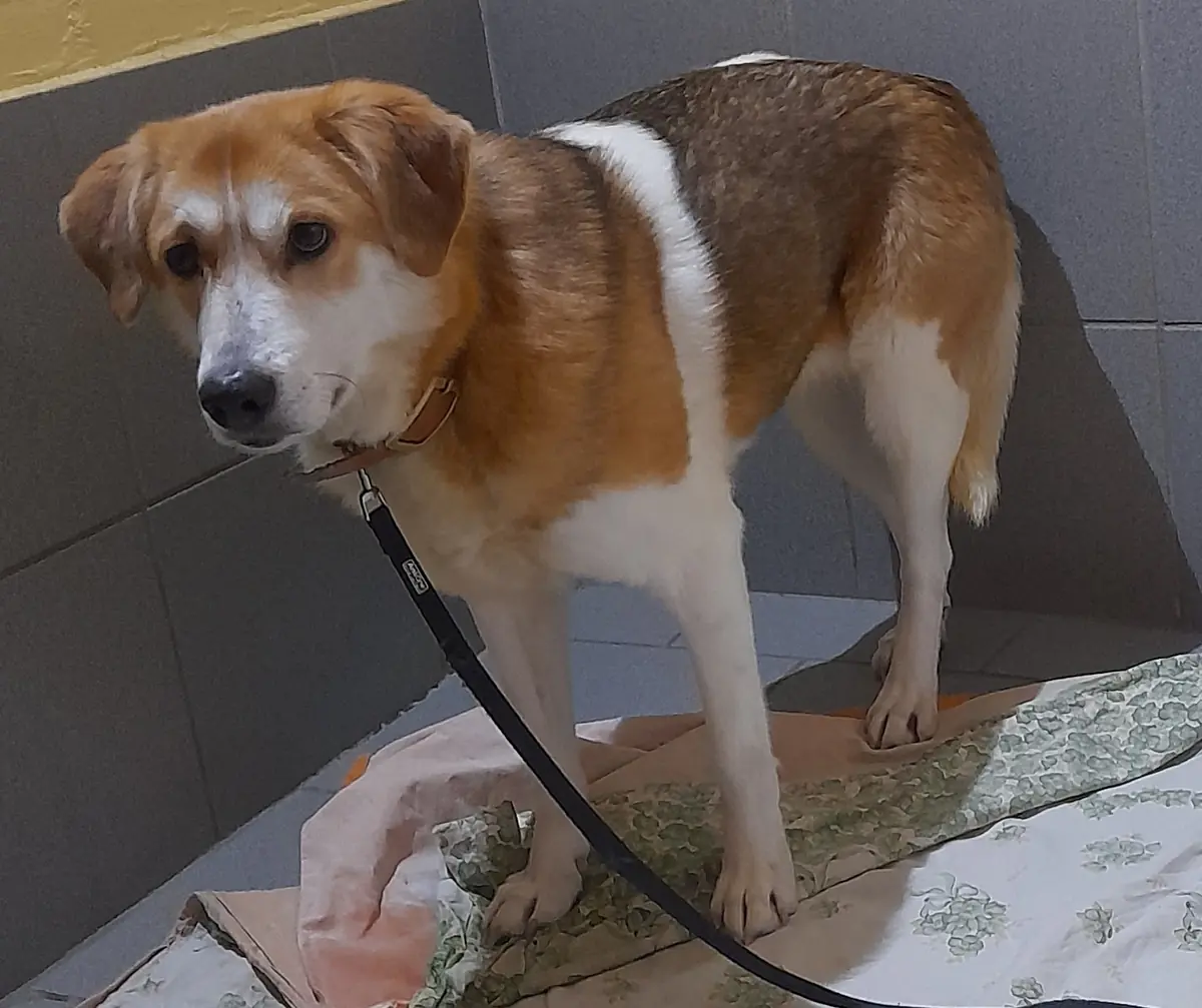 MARLA -  - Bild 2
