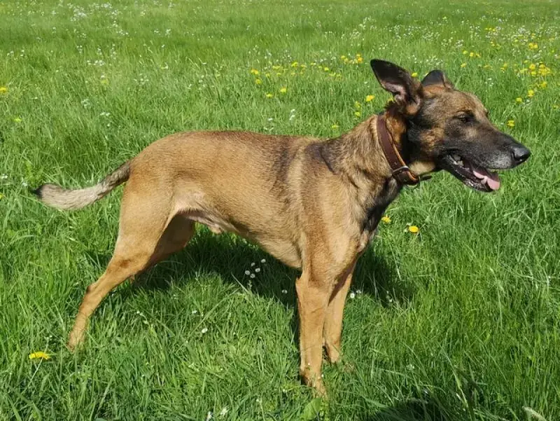 Aki -  - Bild 33